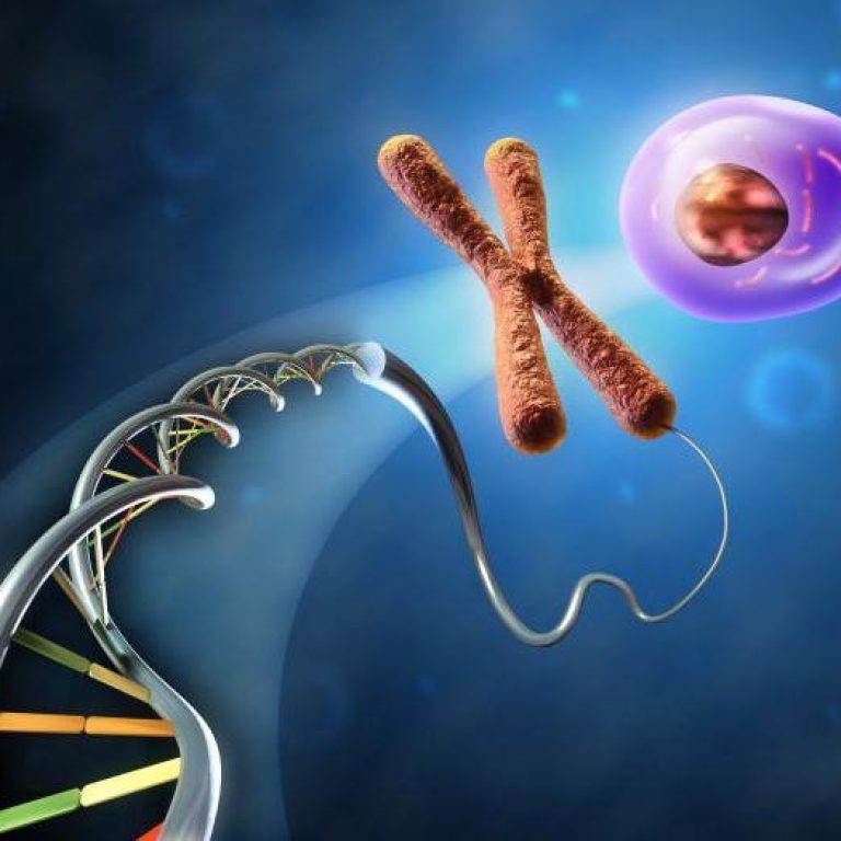 30257d2a-e392-4007-bb0b-18c0f271cff1