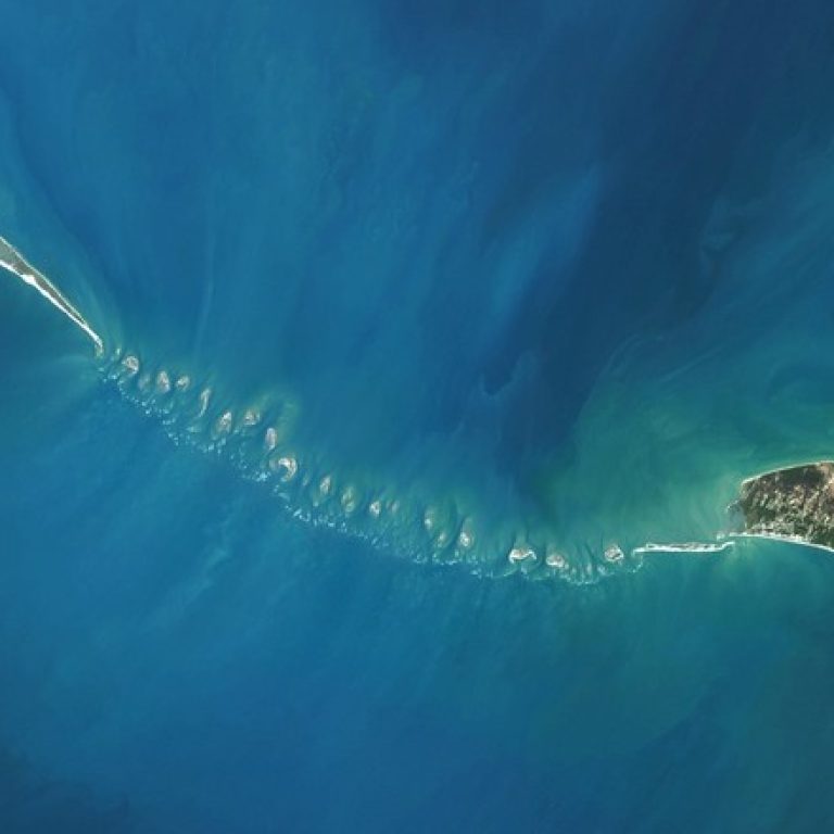 8f485d6a-7431-4c9e-b5e9-e1b49f478f43