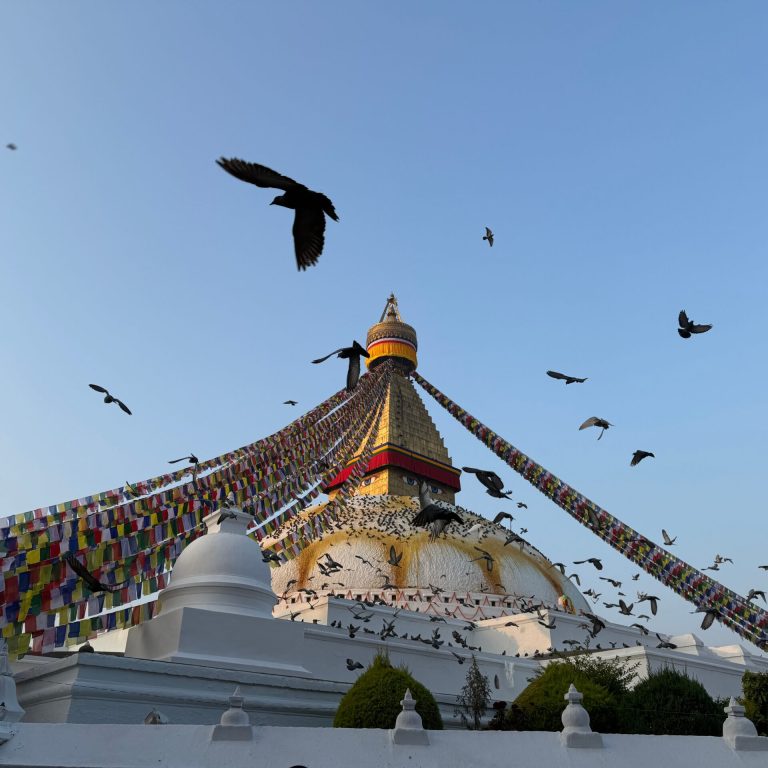 bb64b686-997f-4e5a-8713-c91b70fe1d4f