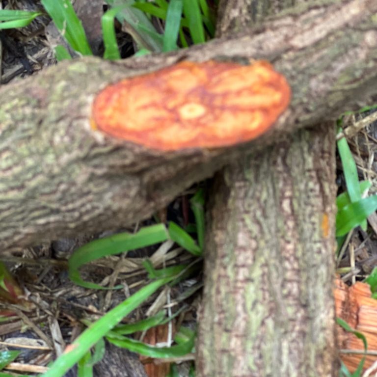 e87eb719-2cda-42f8-9ab3-ae801ae63d57